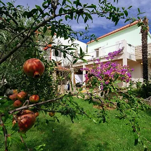 Maslina Apartament Bibinje